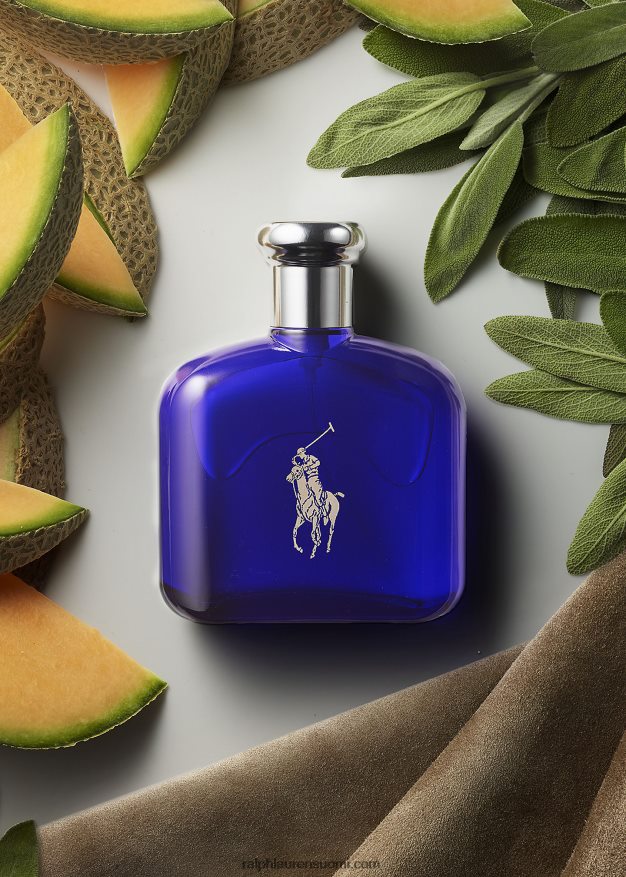 Ralph Lauren miehet polo sininen wc-vesi 0Z24ZR2728